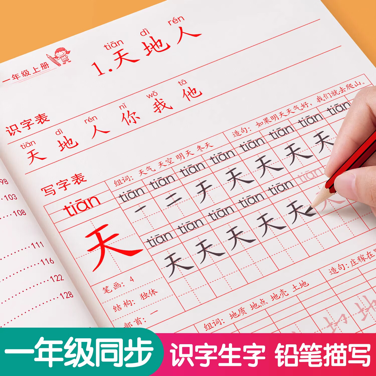 金枝叶一年级下册语文同步练习字帖人教版小学生练字帖1年级下专用课课练下学期人教部编版练字每日一练教材写字帖天天练 【一年级上】同步练字帖+看图写话+口算10000题