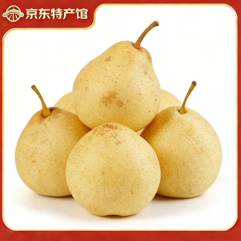 梨乡水城精品水果 河北鸭梨 魏县魏品优选 精品魏县鸭梨 精品大果带箱  5斤