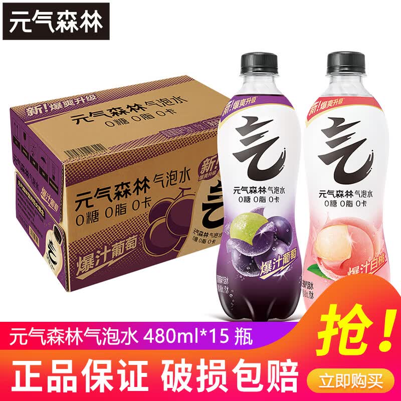 Ԫ��ɭ�� ����ˮ ƿװ ̼������ ��Ͽ�ζ 480ml 15ƿ 52.93Ԫ