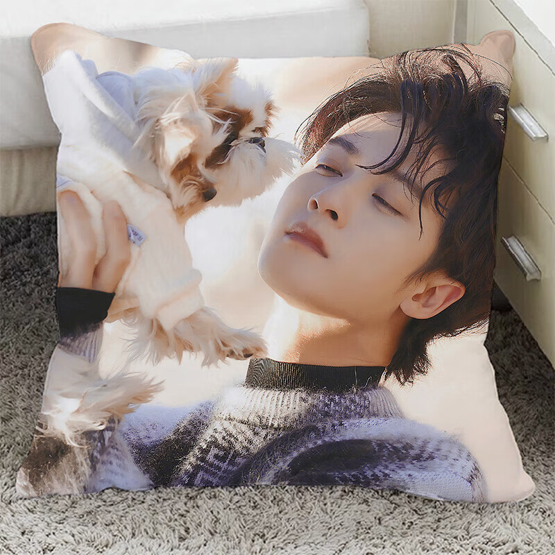 CLCEY檀健次周边抱枕饭制靠垫宿舍卧室床头靠枕闺蜜同学生日礼物 MJG01 40x40厘米(不加枕芯) MJG01