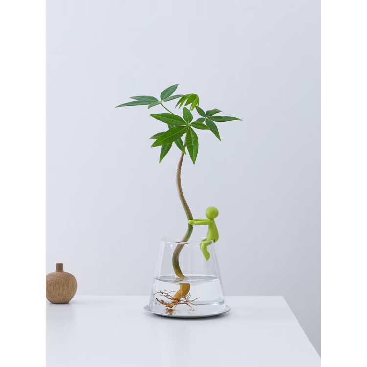 胖东来同款发财树水培盆栽客厅书房桌面办公室内四季懒人好养绿植 单杆发财树-圆筒杯-扶手小人 含盆