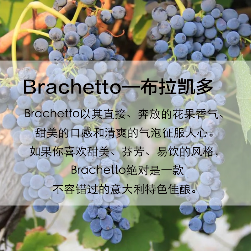 博颂意大利无醇零度无酒精起泡气泡葡萄汁CIMICKY ZERO 【混双】静态无醇+气泡无醇