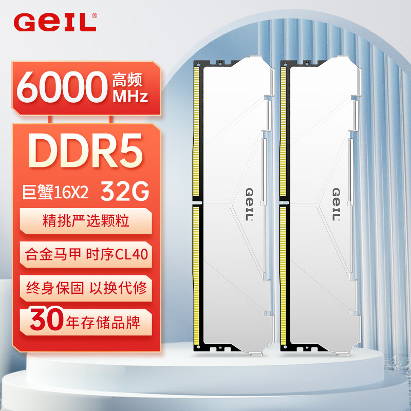GEIL金邦巨蟹 DDR5内存条 台式机电脑内存条 5代内存条 马甲条 RGB灯条 运行内存条套条 适配9800X3D 32G(16G*2)6000C40白色