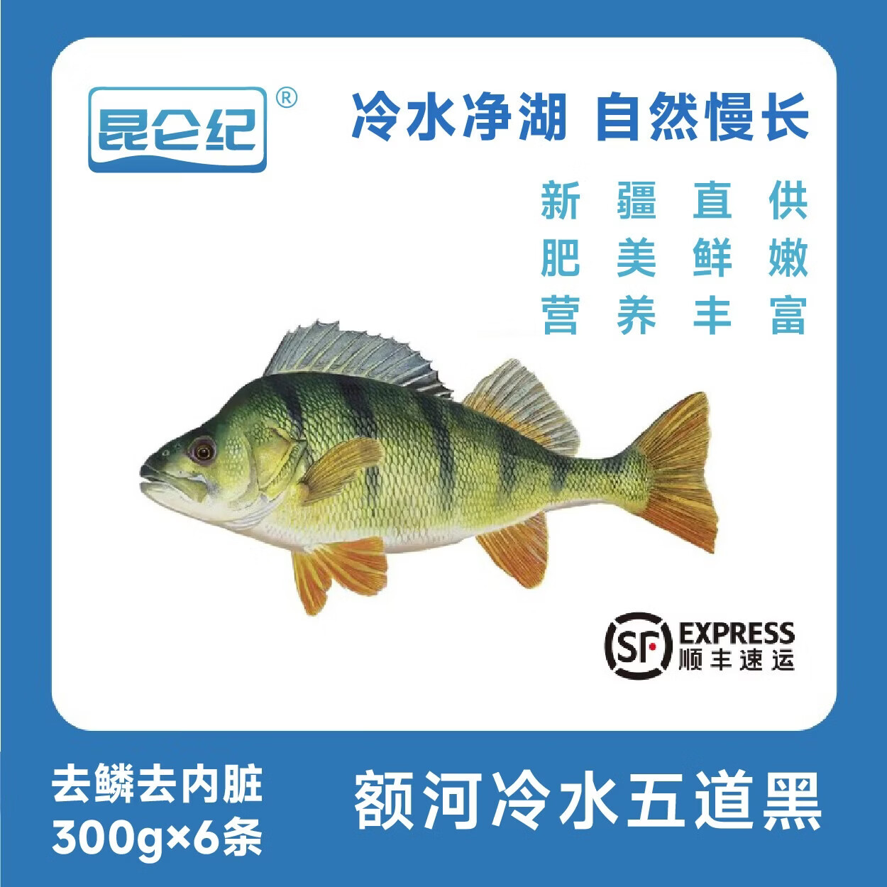 昆仑纪额尔齐斯河冷水五道黑整条鱼装速冻锁鲜去鳞去内脏 额河冷水五道黑300g×6条 京东折扣/优惠券