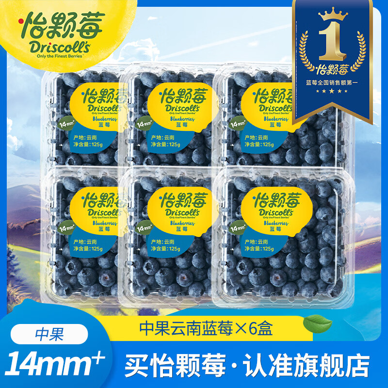 怡颗莓【送礼优选】云南花香蓝莓 当季新鲜蓝莓  高端水果年货礼盒送礼 中果125g*6盒（14mm+）