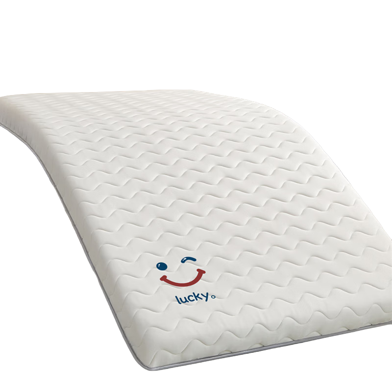 乳胶记忆棉床垫软垫家用卧室学生宿舍单人床褥垫90x190cm寝室专用 记忆棉花朵-灰 80x190cm【厚约4cm】