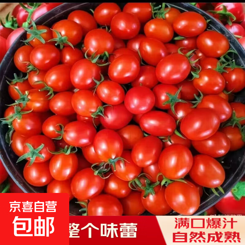 ���ڲ�����������ũ��ר��������ǧ��ʥŮ��ˮ��С����ũ����ժ����ɿ� �ӱ�ǧ��С���� 5�� ���� 16.8Ԫ