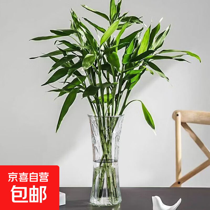 特大号玻璃花瓶透明水养富贵竹办公餐桌客厅家用插干花瓶装饰摆件 小蛮腰花瓶 特大号加厚款