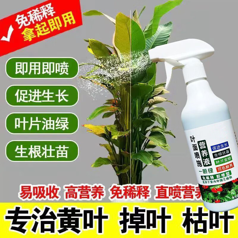 贝舒鹿贝舒鹿营养液叶绿素植物园艺叶面肥护理剂通用营养液绿植叶片促生 2瓶【基础护理】 【官方直售京质保障】