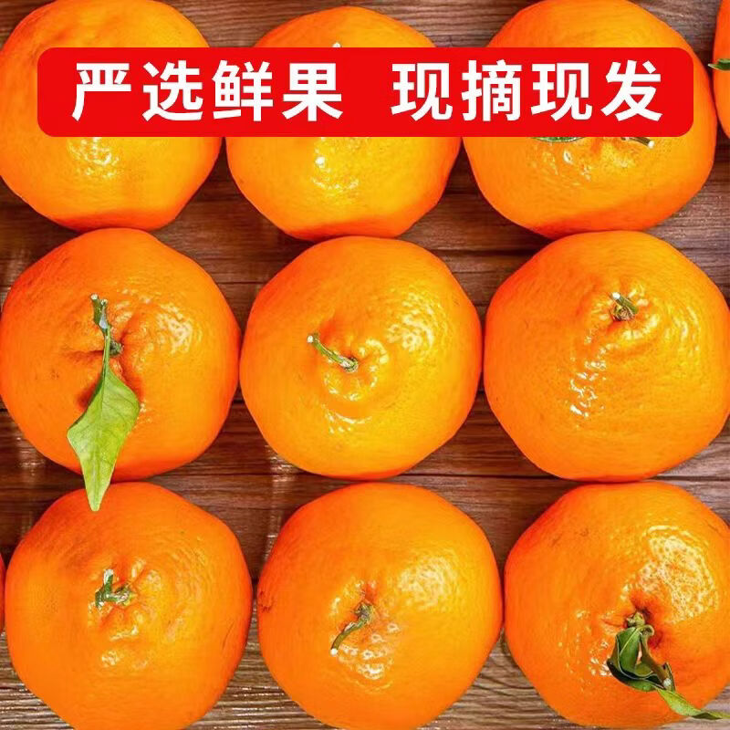 萧鲜生四川春见耙耙柑爆汁特大果（拍2件合并一箱发货)当季新鲜水果柑橘 严选春见耙耙柑 4.5斤【【果径80mm+】特大果