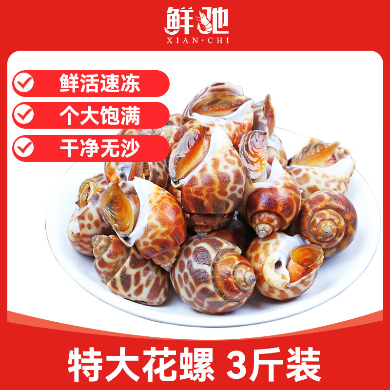 鲜驰 花螺 新鲜鲜活冷冻海螺特大号东风螺特大深海贝类海鲜水产批发 【特大无沙】净重 1500g