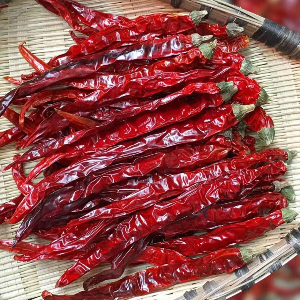 新疆特产二荆条辣皮子干辣椒微辣特香而不辣农家晾晒 1000g【根根精选】实惠 【微辣爆香】