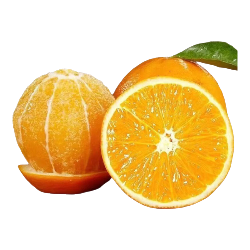 ����������� ���ݲ���ֱ�� 9�ﾻ�أ�85-95mm����10������������� 18.39Ԫ