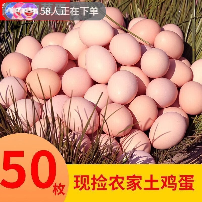 代购同款无菌鸡蛋可生食精挑严选正宗农家散养营养土虫 10枚