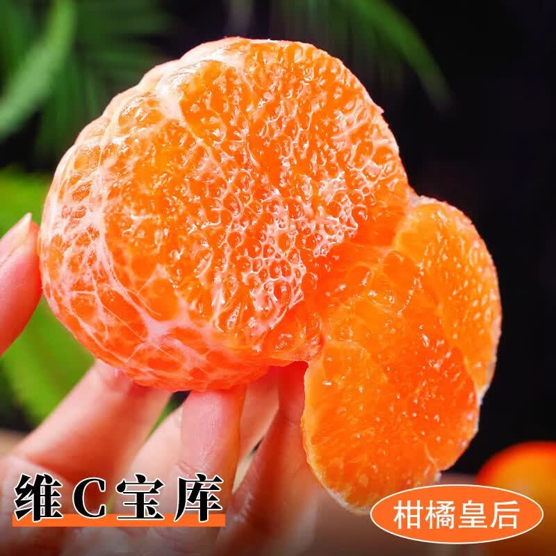 云南高山沃柑新鲜沃柑现摘应季新鲜水果超甜橘子产地直发 云南沃柑净重9斤【60-65mm】