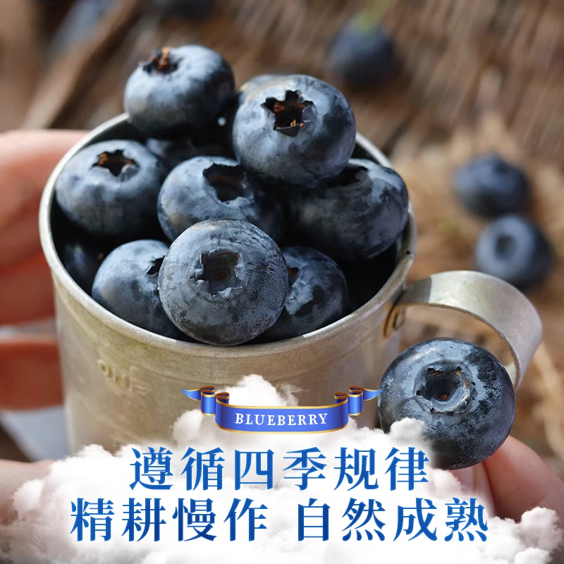 颜曼箐云南花香蓝莓鲜果新鲜水果【多地次日达】高山甜蓝莓春节送礼 6盒装-更划算【100-125g/盒】 尝鲜果丨单果12-15mm
