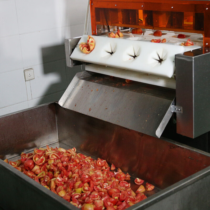 阳家私坊大块番茄火锅底料小包装家用番茄酱商用0添加西红柿汤料米线调料 原味300克*1袋