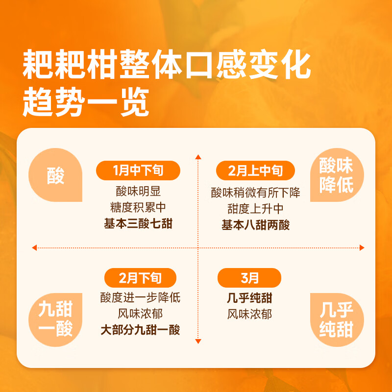 东方甄选春见耙耙柑 5斤/8斤装 自然酸甜 坏果包赔 5斤大果(200g+ 到手约8-13个)