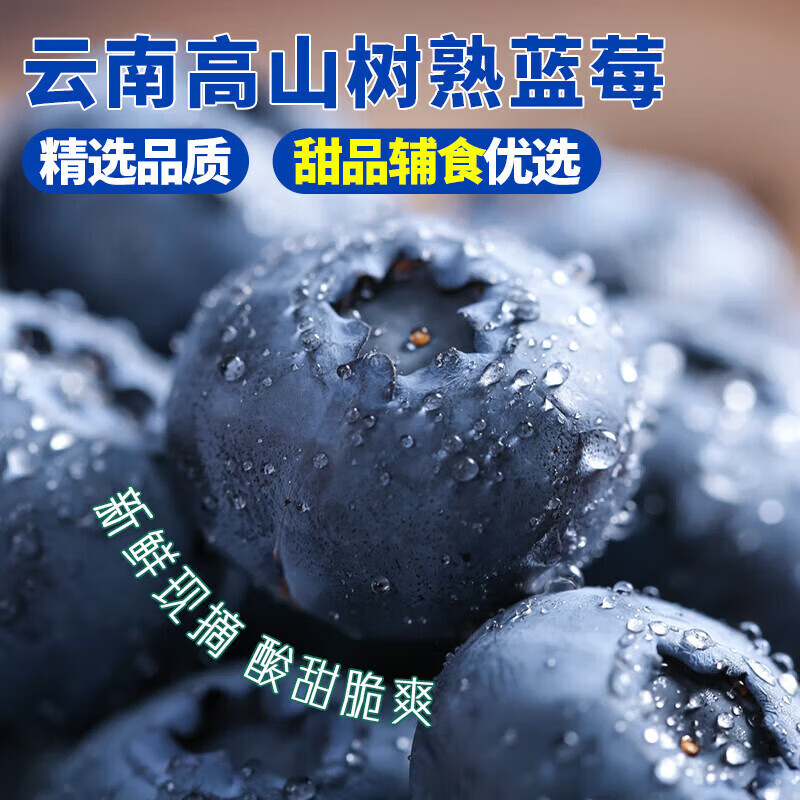 云南高山花香蓝莓【顺丰/京东-多地次日达】头茬鲜大果应季水果 6盒【家庭分享】125g/盒(净100g) 单果12-15mm丨酸甜爽口