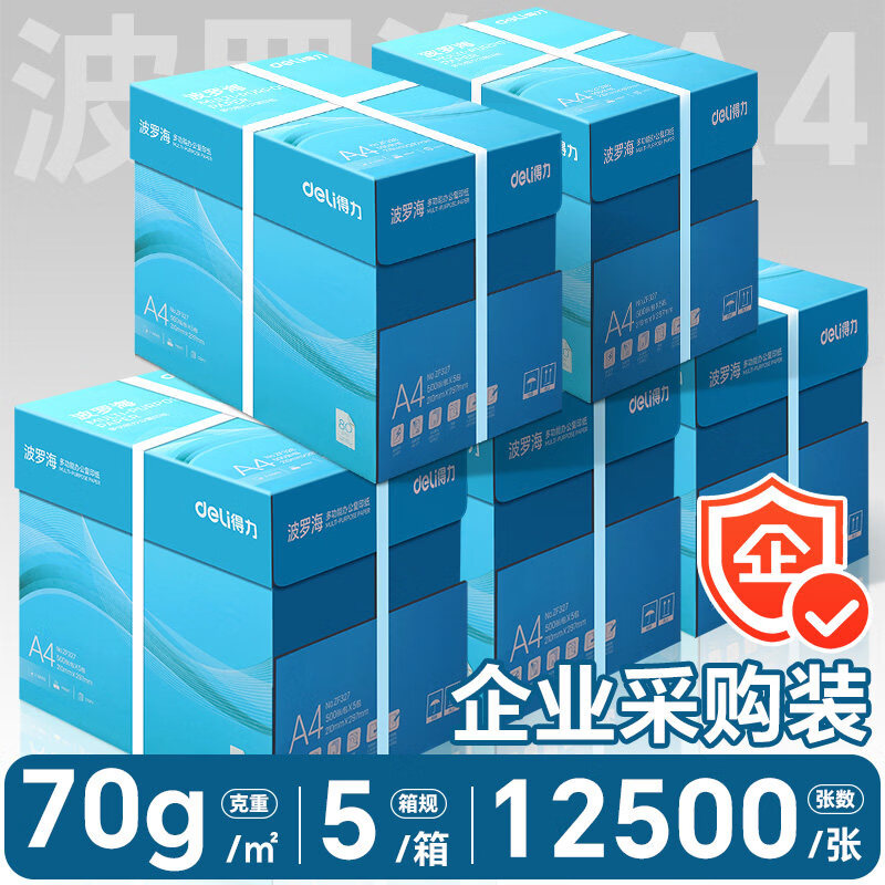得力（deli）A4纸打印纸复印纸 整箱加厚双面打印a4纯木浆草稿纸白纸绘画办公家用高性价比企业采购5箱批发包邮 5整箱-波罗海70g/12500张【5包/箱】