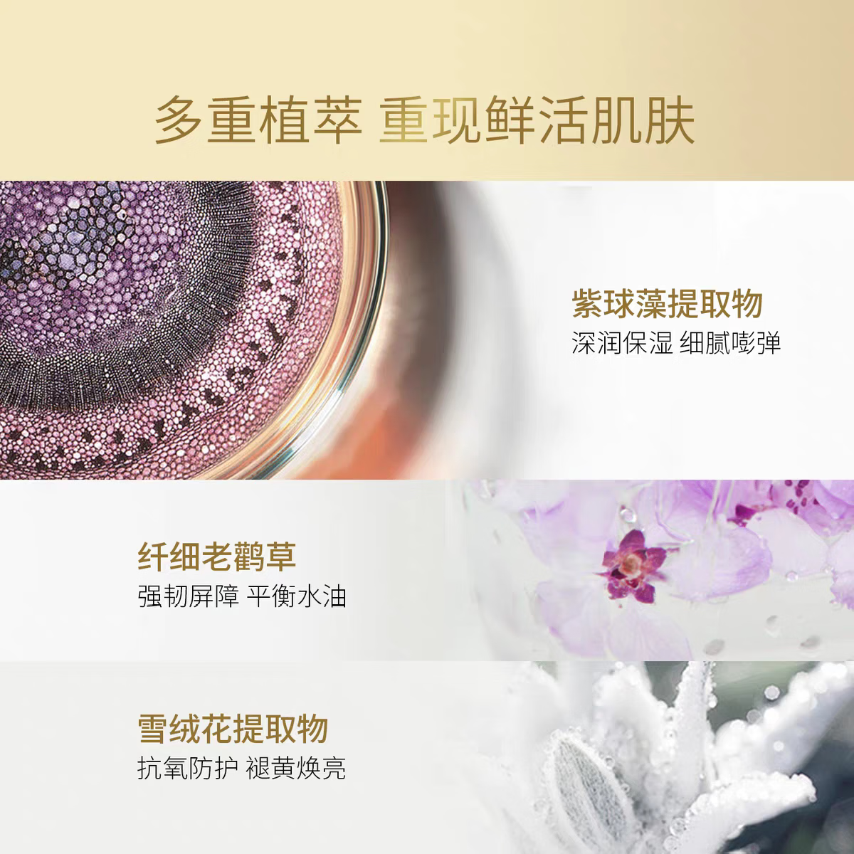 玛嘉思缇(MAJE STEPHANIE)日本进口时光密藏免洗睡眠面膜去黄气暗沉提亮肤色抗皱抗衰老前十 时光密藏新赋活夜间面膜105g