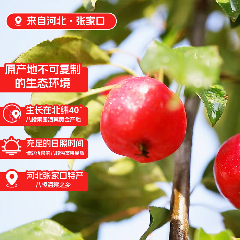 御棠源100%海棠复合果汁儿童饮料酸甜可口野餐聚会小瓶装张家口怀来特产 230ml*8瓶/箱