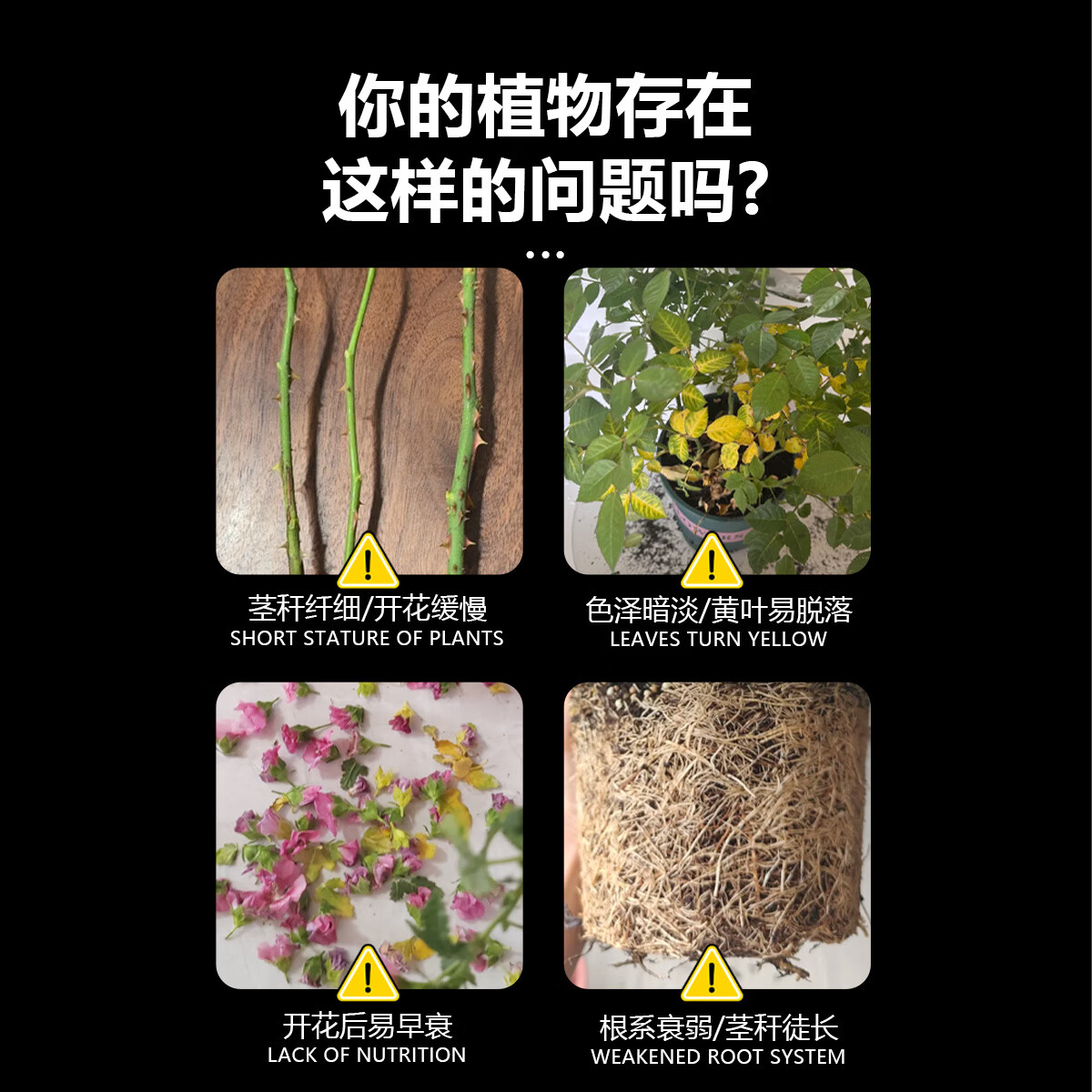 茶花肥料专用肥喜酸植物营养液山茶花杜鹃茉莉促开花家用盆栽植物 兰花园艺营养液1100ml