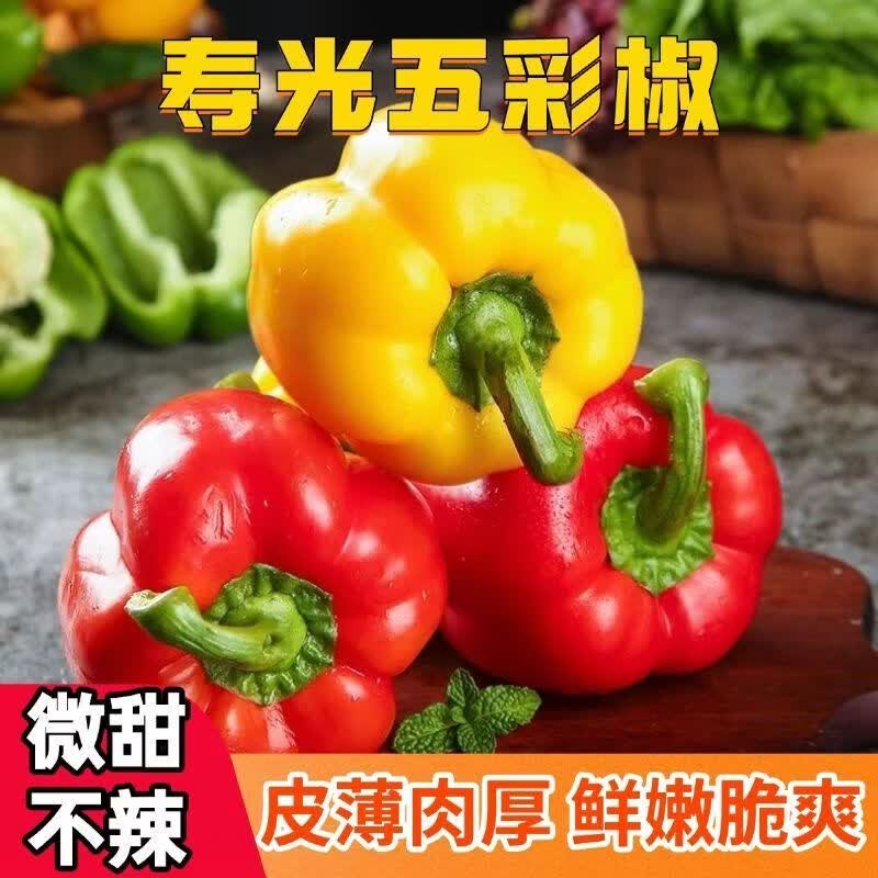 秦品堂山东寿光新鲜红黄双色彩椒灯笼椒五彩椒柿子椒沙拉菜蔬菜水果彩椒 寿光彩椒5斤