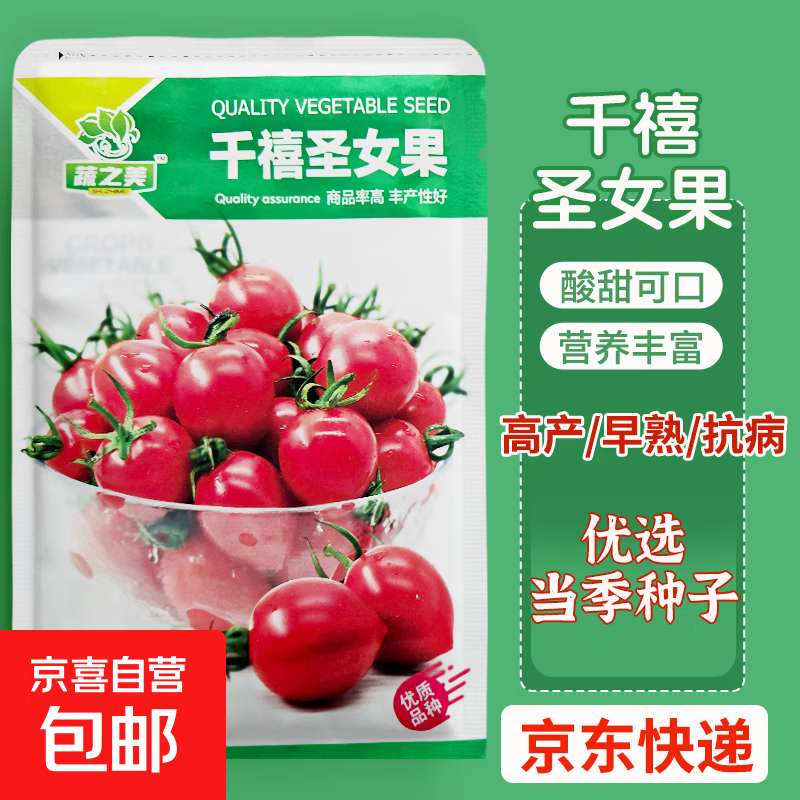 千禧圣女果种子红圣女樱桃番茄种子高产抗病千禧圣女果种籽蔬菜种 千禧圣女果（1包约100粒）