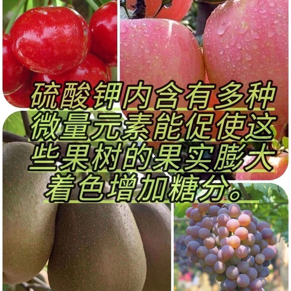 俄罗斯进口正品硫酸钾通用肥料钾肥高效农用钾肥花卉速溶果树蔬菜 25公斤*5袋共250斤【老款原包装正品】+快递包邮到乡镇