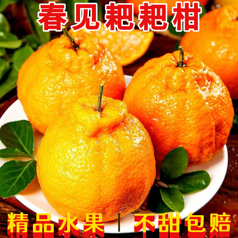 正宗四川春见耙耙柑4.5/8斤精品特大果一整箱时令新鲜水果 净重8斤中果90+mm（10-15个）