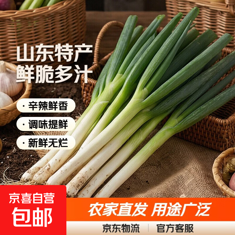 正宗山东大葱精品特产蔬菜新鲜甜脆山东铁杆大葱 精品大葱-2斤带箱
