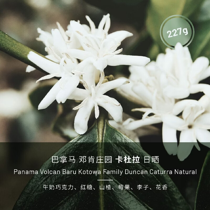 巴拿马卡杜拉邓肯庄园咖啡豆手冲单品咖啡豆新鲜黑咖啡 邓肯庄园咖啡豆227克