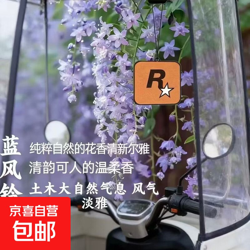 电动车装备R星挂饰香薰香氛片持久淡香除异味摩托车配件香片除臭 香味随机 1个