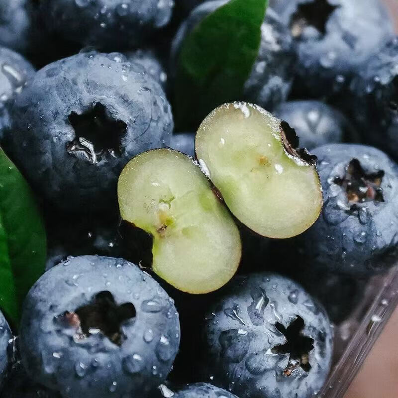 云南花香蓝莓新鲜水果高山蓝莓新鲜现采现摘高山孕妇水果送礼物品 10盒装 多买多划算【90-115g/盒】 云南花香蓝莓新鲜水果高山蓝莓新鲜现采现摘高山孕妇水果送礼物品 10盒装 多买多划算【90-115g/盒】