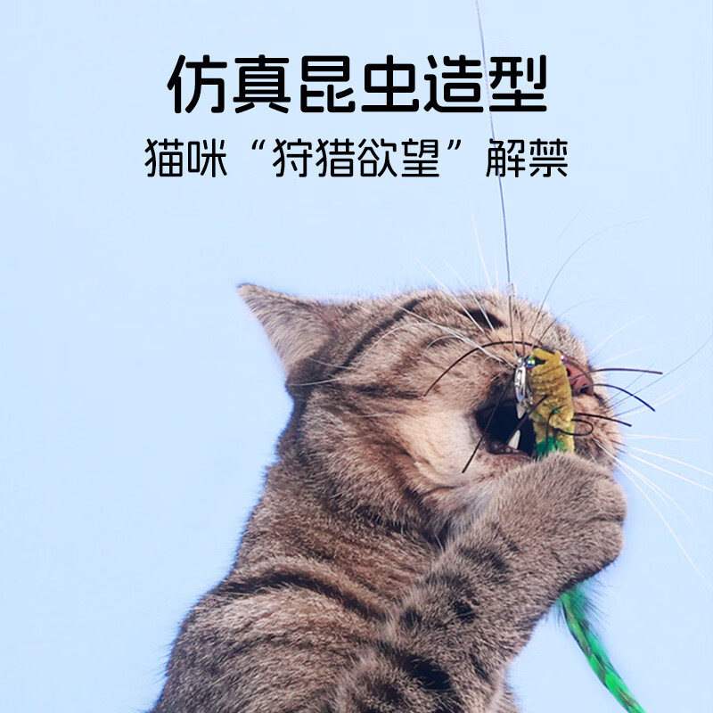 all for paws仿真昆虫逗猫棒 猫咪玩具耐咬抖猫自嗨替换头耐啃咬解闷神器 【新品】5只装虫子逗猫棒