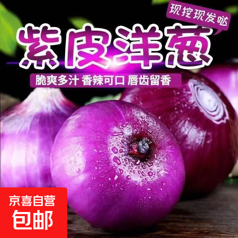 紫皮洋葱圆葱现挖现发扁洋葱黄洋葱农家自种新鲜蔬菜生鲜买菜 洋葱带箱1斤 小果100-300g