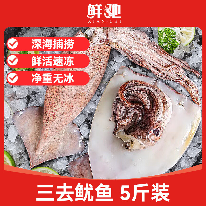 鲜驰 新鲜鱿鱼 海捕冷冻超大整只鱿鱼火箭鱿鱼头烧烤铁板鱿鱼商用批发 三去大鱿鱼 5斤(净重) 