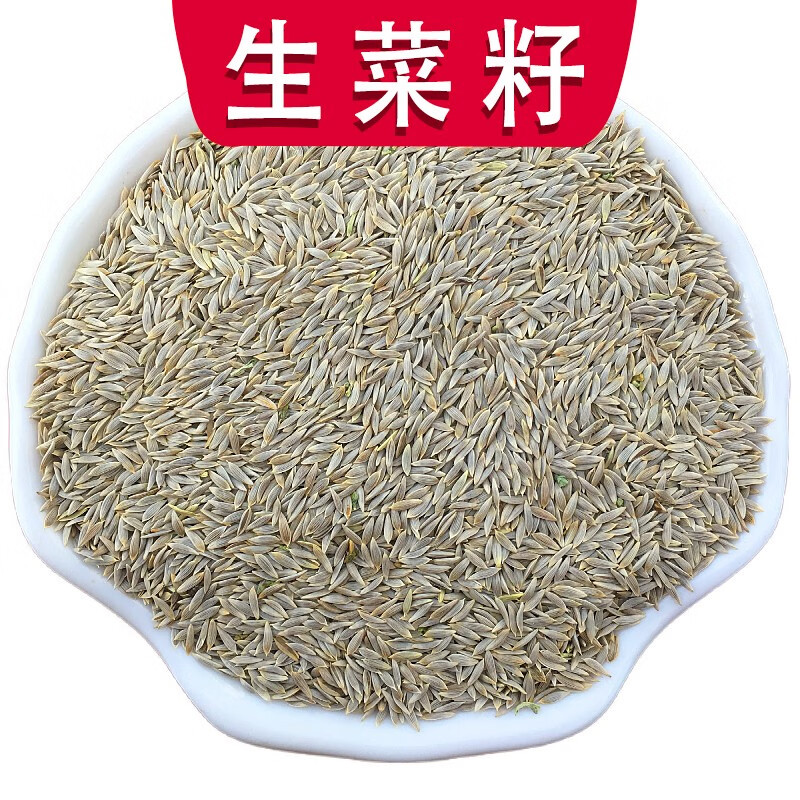 珈祁堂 生菜籽中药材白巨胜新货生菜子生菜籽 100克