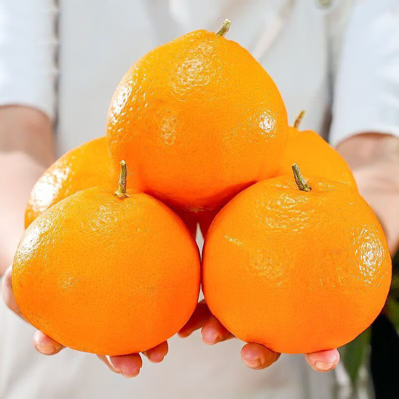 �����������Ĵ������ҰҸ̣���2���ϲ�һ�䷢��) ��֭��������ˮ������  ��ѡ�����ҰҸ� 4.5�����80mm+���ش�� 16.1Ԫ