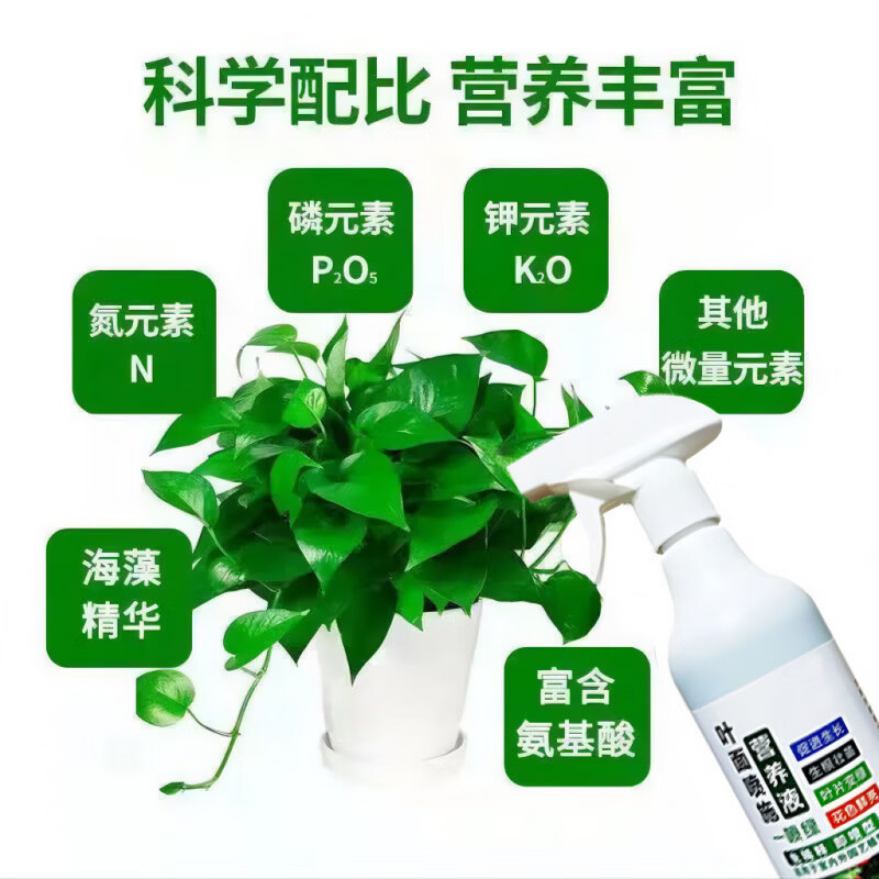 贝舒鹿贝舒鹿营养液叶绿素植物园艺叶面肥护理剂通用营养液绿植叶片促生 2瓶【基础护理】 【官方直售京质保障】