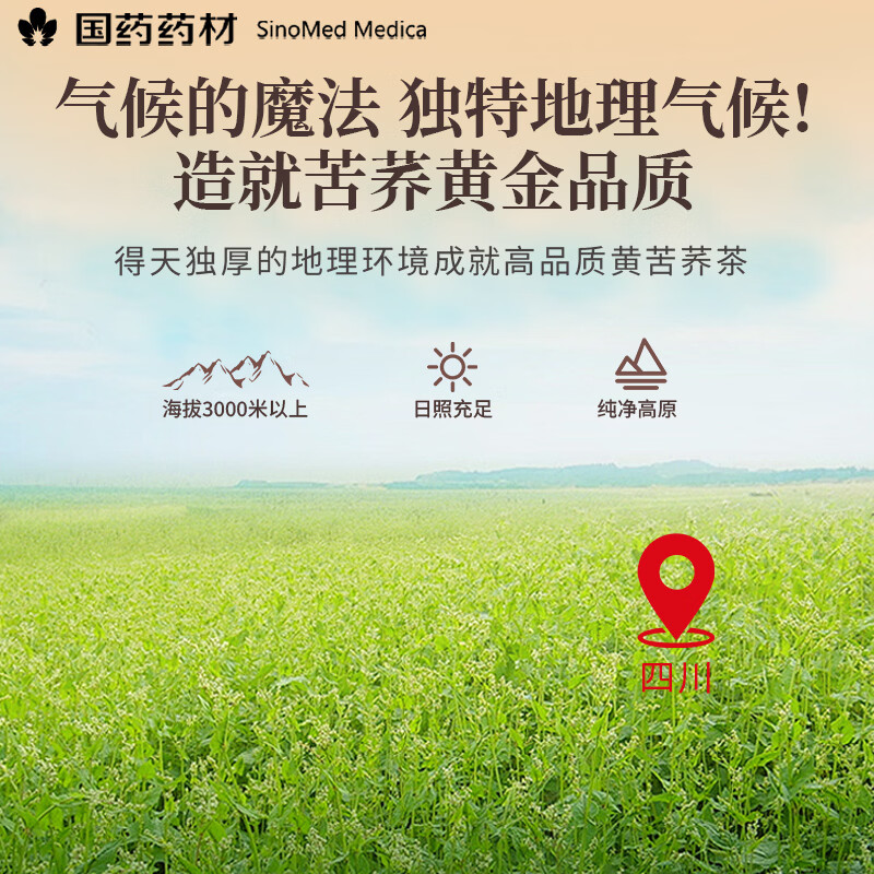 崇芝林国药药材苦荞四川大凉山全颗粒胚芽苦荞芥麦茶泡水养生茶250g 【四川大凉山】 250g*1罐 国药药材 只做道地好药材