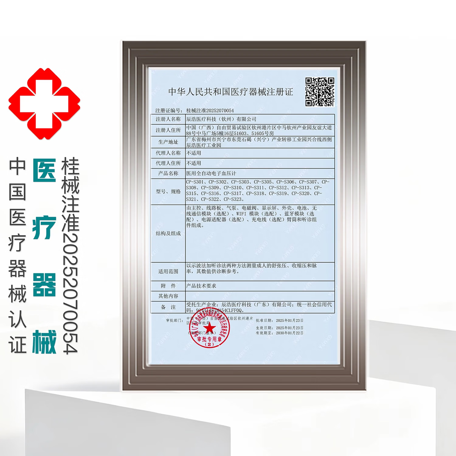 SES【德国】医用级高精准臂筒电子血压计测血压测量仪家用老人血压表 【医用级高精准】院线款