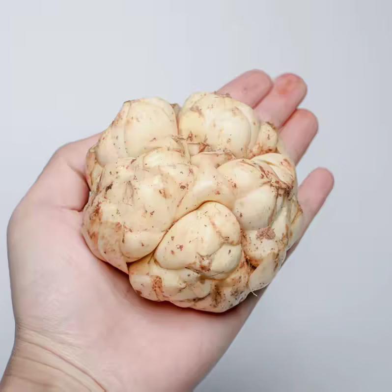 宜兴鲜百合 水果蔬菜25年食用百合新鲜 微苦 卷丹百合产地直发 两斤（每斤3个左右）