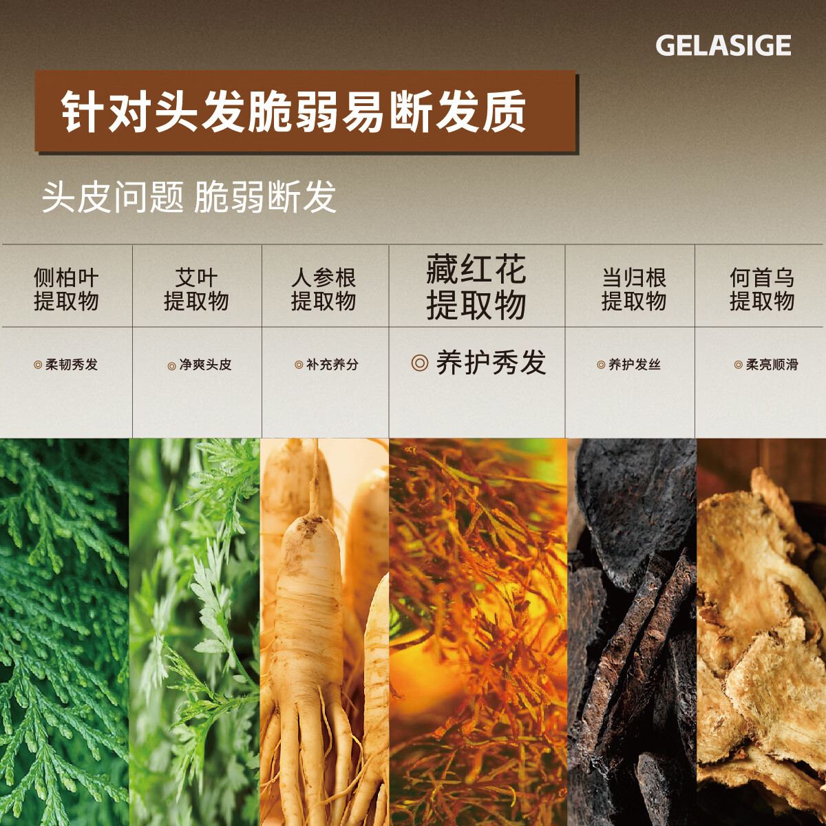 歌拉丝歌藏红花养护防断洗发水养护柔韧天然植萃洗发乳 藏红花洗发水500ml