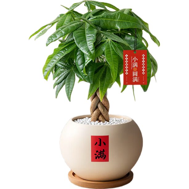 ���ڲ�����������С���������в�ֲ��ڼ���ʽ��������칫�����������ֲ ֱ�˷�����+ԭ��ԭ�� ��Բ�����ƣ� 13.59Ԫ(������)