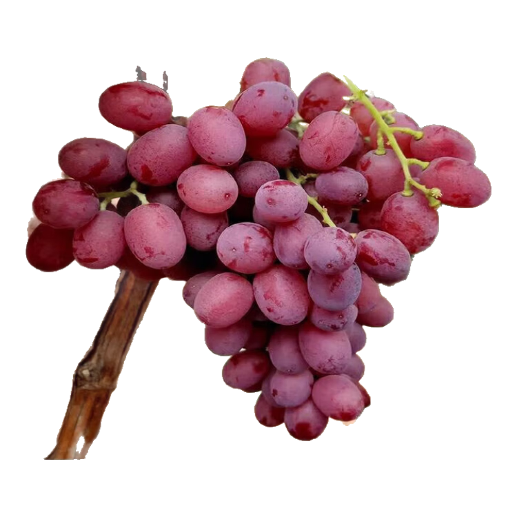 ��ժ�������ʿ��������������������������ˮ��������� ���������������5�� 34.9Ԫ