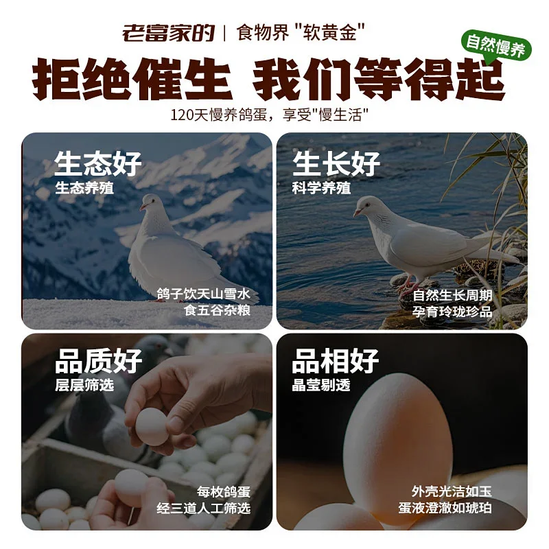 新疆120天慢养鸽子蛋健康放心蛋优质蛋白无腥味Q弹爽滑空运直发 30枚