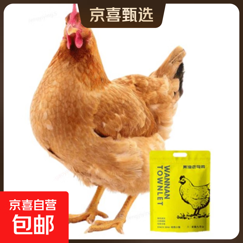 安徽九华山农家散养老母鸡 净重2斤 慢养500天土鸡 礼袋 一只老母鸡（单只净重2~2.3斤）