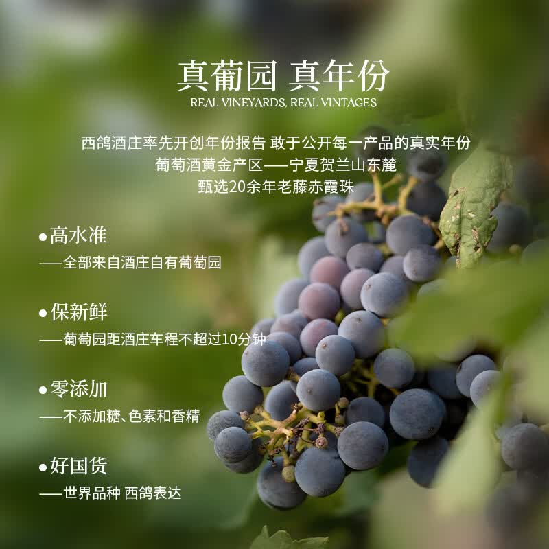 西鸽酒庄宁夏红酒贺兰山葡萄酒 西鸽N28赤霞珠干红 国产小瓶红酒 送礼宴请 单支750ml*1（含礼盒礼袋酒刀）
